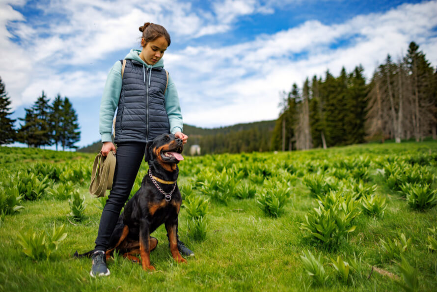 rottweiler vérmérséklet